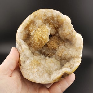 May include: A geode with a hollow center lined with white and tan crystals. The geode is about the size of a grapefruit.