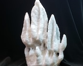 Item from this shop