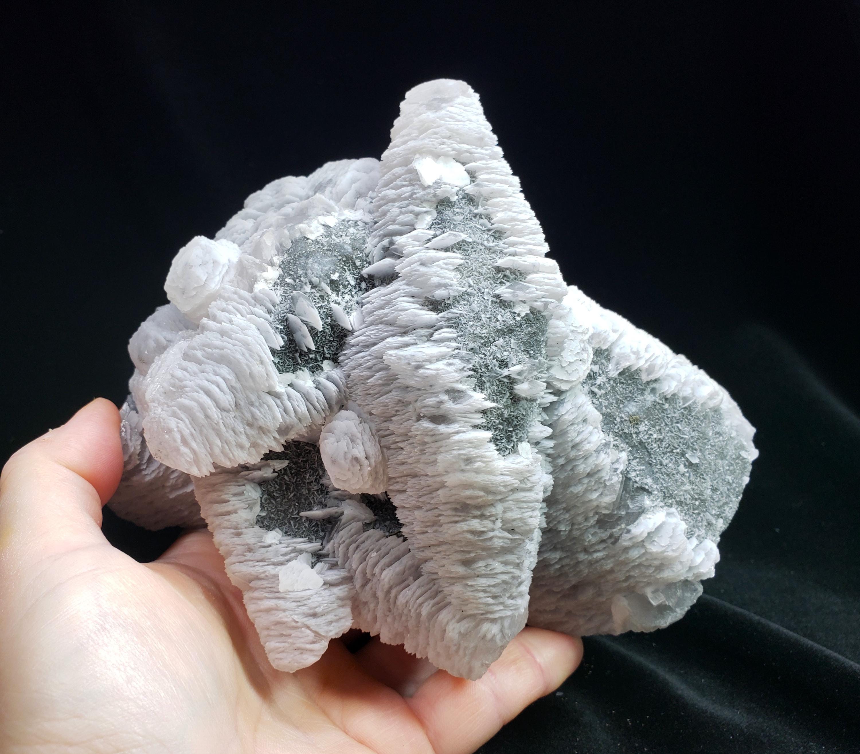 希少な 4 ポンド以上。中国福建省産、灰色方解石の上に白色の刃状