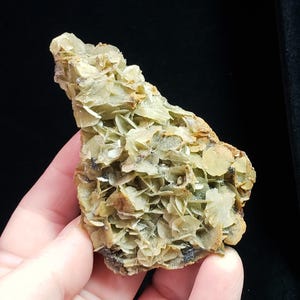 May include: A mineral specimen featuring a cluster of pale green, layered crystals. The crystals have a flaky appearance and are arranged in a fan-like pattern. The specimen is held against a black background.