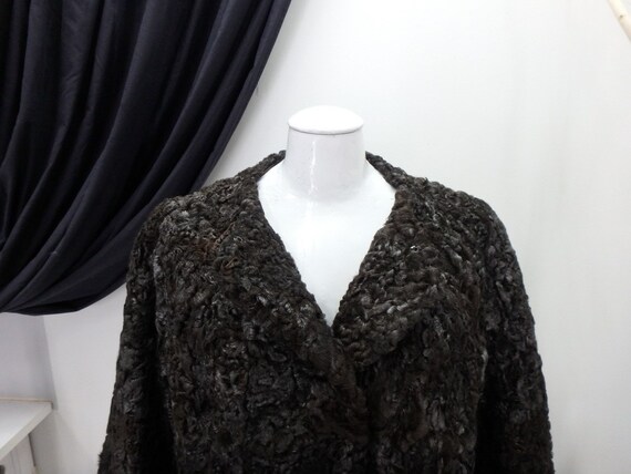 Persian Lamb Real Fur Brown and Silver Coat Jacke… - image 2