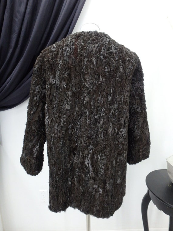 Persian Lamb Real Fur Brown and Silver Coat Jacke… - image 4
