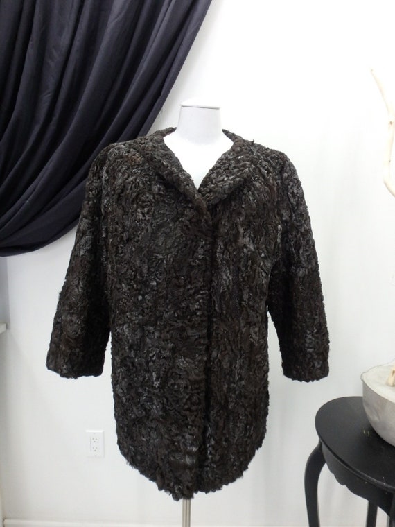 Persian Lamb Real Fur Brown and Silver Coat Jacke… - image 1