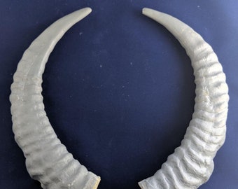 Mini ibex (replicas)