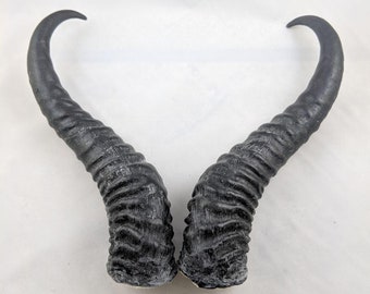 Springbok Horns (replicas)
