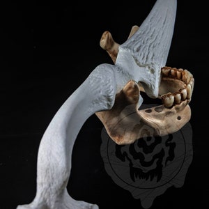 May include: A detailed, off-white sculpture of a stylized bone structure, featuring a curved bone, a jaw with teeth, and a large, blade-like projection. The sculpture is set against a black background, with the text "SMOGTEETH" visible.
