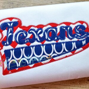 Texans Digital Machine Embroidery Applique Design 6 sizes, texans mascot, texans applique, texans word, texans name, texans team, texans