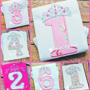 May include: Six embroidered designs of numbers 1, 2, 3, 4, 6, and 1 with a silver crown on top. The numbers are pink and white with floral patterns. The designs are on white and pink t-shirts.