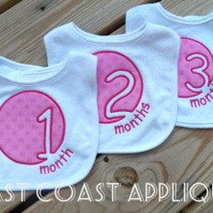 May include: Three white baby bibs with pink circles and numbers 1, 2, and 3 embroidered on them. Each circle has the word "month" or "months" written below the number.