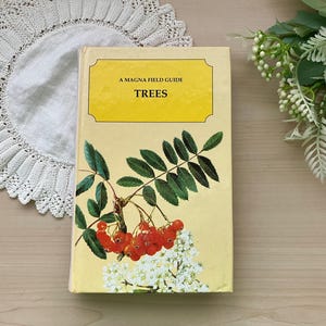 May include: A vintage field guide titled "Trees" with a yellow cover and a botanical illustration of red berries and green leaves. The book is set on a white lace doily and a light wood surface.