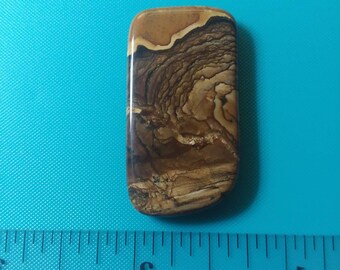 Biggs Jasper Cabochon