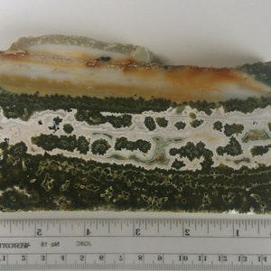 Ocean Jasper 6" Polished Slab Slice 7th vein