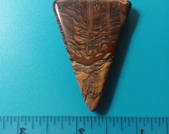 Biggs Jasper Cabochon