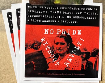 Support Indigenous Art Small Press By Demiandineyazhi On Etsy
