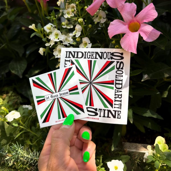 Solidaridad indígena: descolonizar Palestina