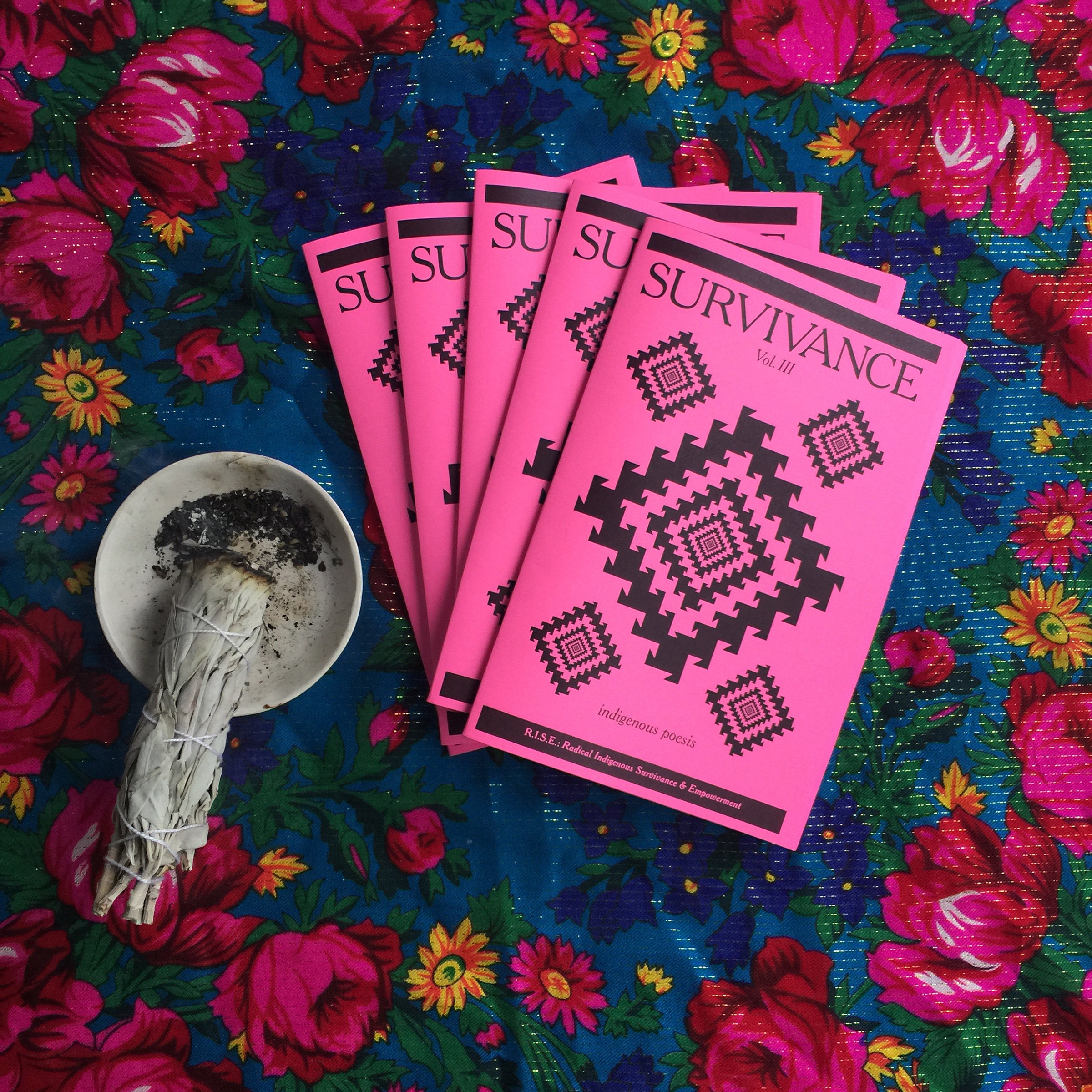 Overleving: Inheemse Poesis Vol. III Zine - Etsy België, image size:2400x2400