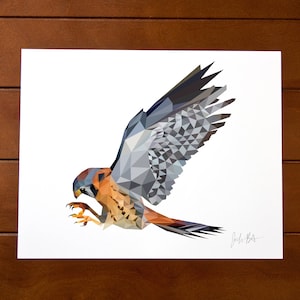 Geometric Bird 8x10 Print - American Kestrel