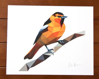 Geometric Bird 8x10 Print - Bullock's Oriole