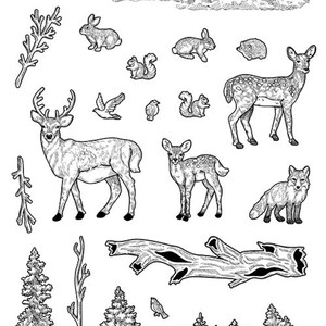 May include: Black and white line art illustrations of various woodland animals, including deer, rabbits, squirrels, birds, and a fox. The illustrations are set against a background of trees and clouds.