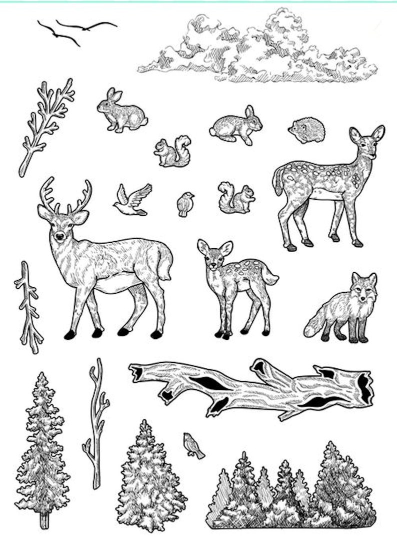 May include: Black and white line art illustrations of various woodland animals, including deer, rabbits, squirrels, birds, and a fox. The illustrations are set against a background of trees and clouds.