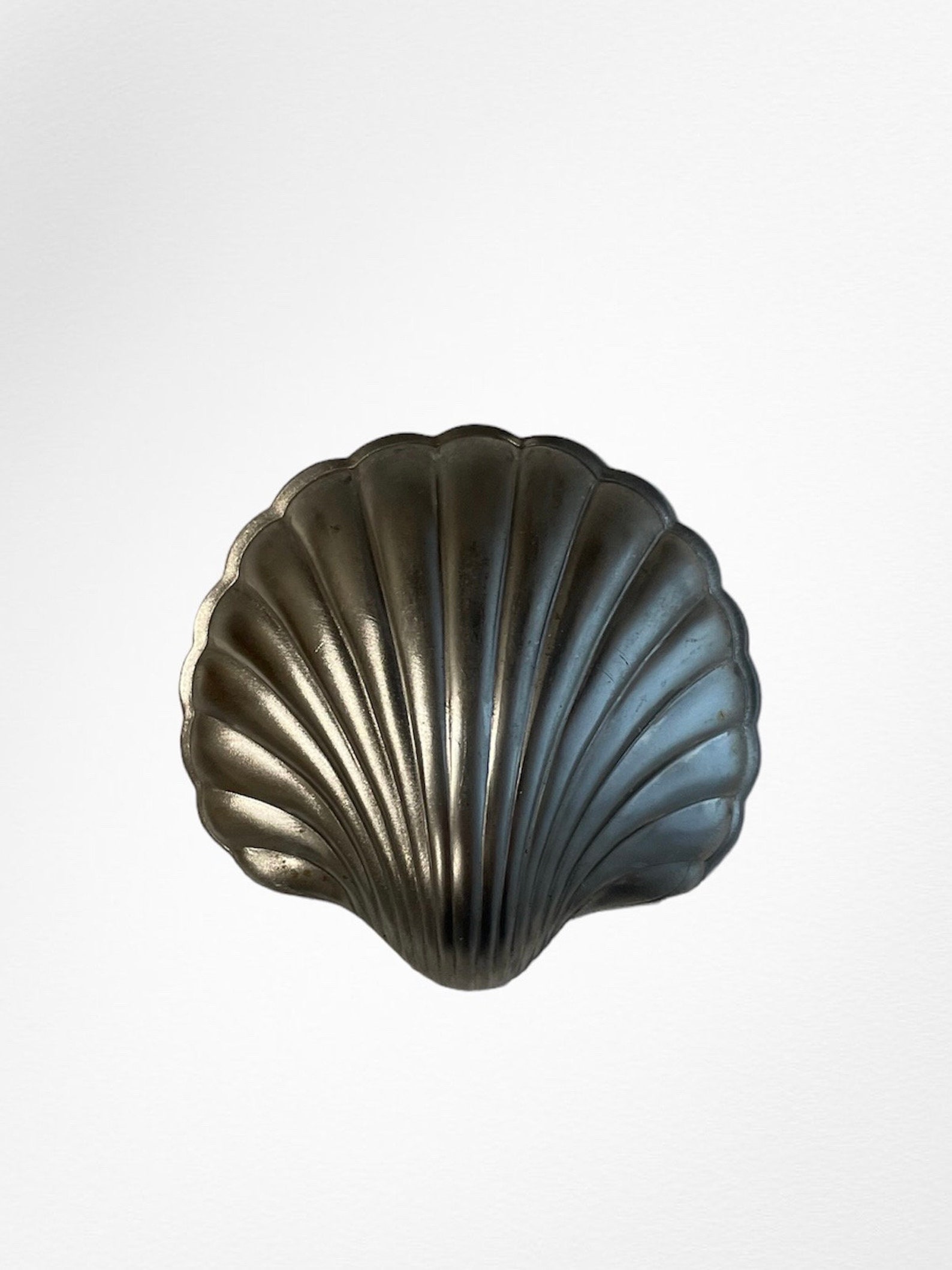 Metal Sea Shell - Etsy
