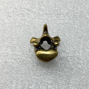 Vertebrae Large hole Bead for beards, dreads, paracord, jewelry. Bronze Vertebrae Back Bone Beard beads