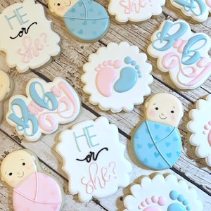 Gender Reveal Cookies He Or She Gender Reveal Party Etsy Singapore