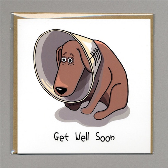 Cone of shame sales