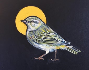 Original Painting - Willow Warbler Golden Halo Bird on Dark Blue / Black 10 x 10 inch canvas