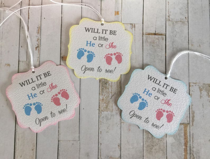 Gender Reveal Party Favor Tags Gender Reveal Ideas Gender Etsy Singapore