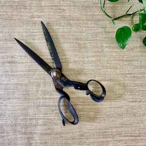 May include: Vintage black scissors with curved handles and pointed blades. The scissors have a worn, antique appearance, with signs of use and age. The blades are open, and the scissors are positioned on a textured, neutral-toned surface.