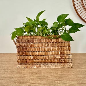 May include: A rectangular woven basket filled with vibrant green leafy plants. The basket is made of natural-colored woven material and sits on a wooden surface. A decorative circular mirror is in the background.
