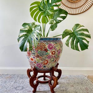 May include: A variegated Monstera plant with large, split, green and white leaves potted in a round, colorful ceramic bowl featuring intricate floral patterns and a blue geometric rim, resting on a dark brown, carved wooden display stand.
