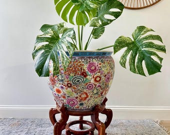 May include: A variegated Monstera plant with large, split, green and white leaves potted in a round, colourful ceramic bowl featuring intricate floral patterns and a blue geometric rim, resting on a dark brown, carved wooden display stand.