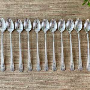 Vintage Wm A Rogers Sectional Oneida Ltd. Flatware Lido Pattern Silverplate Spoon Set 27 Pieces image 5