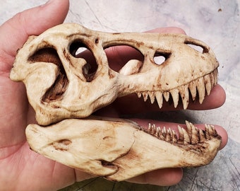 Small T-rex Dinosaur Skull - Decorative Desk Toy