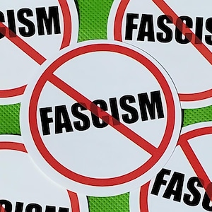 10 Stickers - NO FASCISM - Window, Bumper, Computer, Laptop Decal