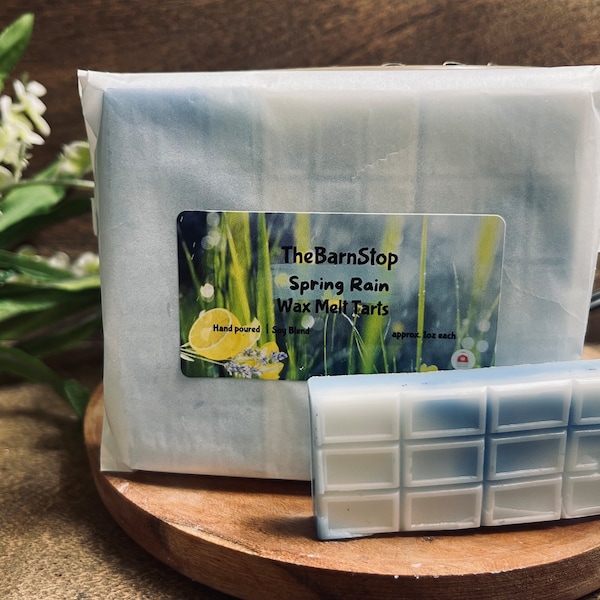 Spring Rain Wax Melt rain grass scented wax melt strong scented wax snap bar plastic free