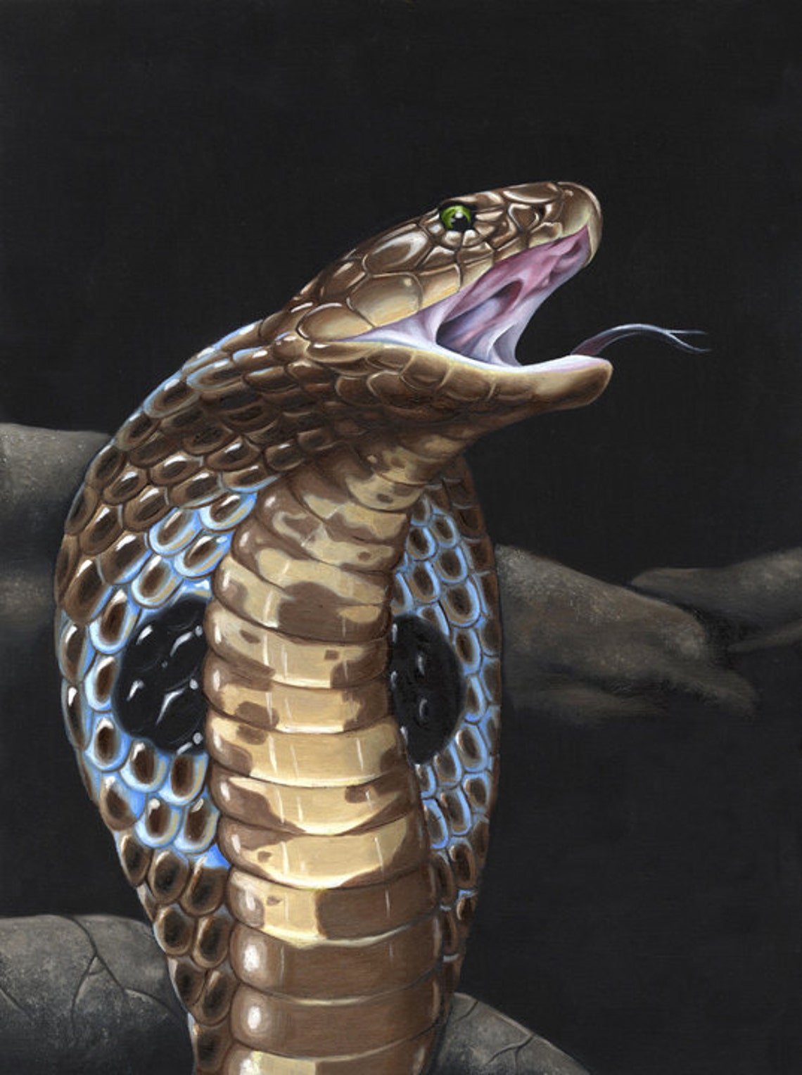 Cobra Original Oil Painting / Framed Painting / Snake Art / Cobra