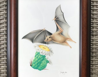 Bat Original Art / Succulent Wall Art / Framed Drawing / Desert Art / Botanical Illustration / Colored Pencil Art / Desert Decor / Bat Art
