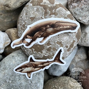 Whale and Shark Stickers / Humpback Whale Sticker / Great White Shark Sticker / Vinyl Stickers / Ocean Stickers