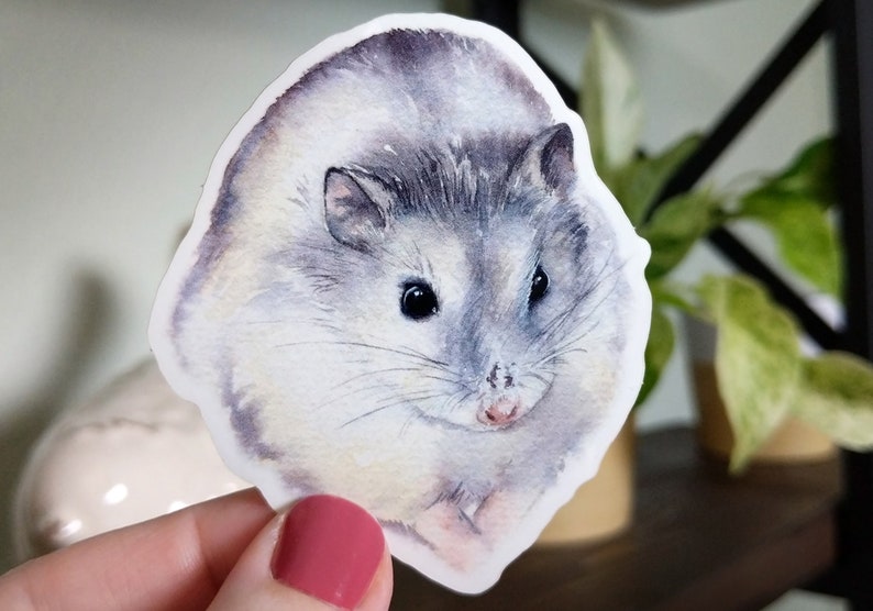 grey dwarf hamster
