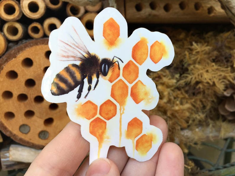 Honey Bee Die Cut Sticker Bee Sticker Honey Bee Bee Etsy
