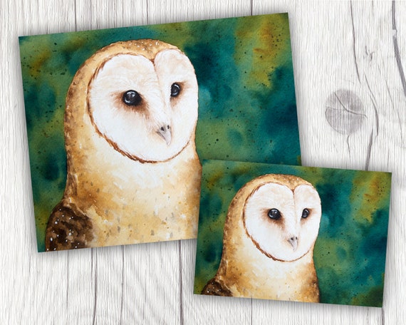 Watercolor Barn Owl Watercolor Owl Standard Art Print Owl Etsy