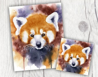 Red Panda Re-Paint, Watercolor Red Panda, Red Panda Painting, Red Panda Art, Panda Art, Red Panda, Fox, Raccoon, Watercolor Splash