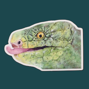 Prehensile-tailed Skink Sticker | Lizard Sticker, Skink Sticker, Prehensile Skink, Skink, Lizard, Art Sticker, Vinyl Sticker, Matte Sticker