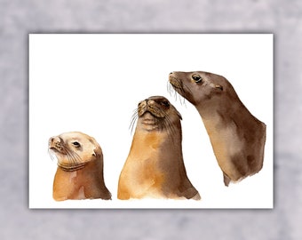 Sea Lion Trio, Sea Lion, California Sea Lion, Sea Lion Portrait, Sea Lion Art, Seal, Seal Art, Art Print, Watercolor