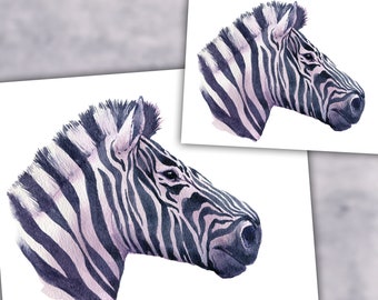 Zebra, Zebra viola, Ritratto di zebra, Pittura zebra, Zebra ombra, Zebra acquerello, Acquerello, Bagliore lunare, Pittura ad acquerello, Acquerello