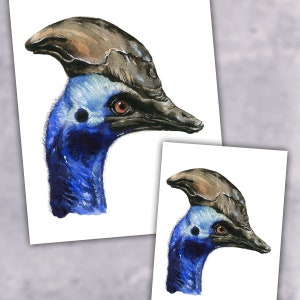 Cassowary, Cassowary Painting, Watercolor Cassowary, Cassowary Art, Watercolor Bird, Australian Animal Art