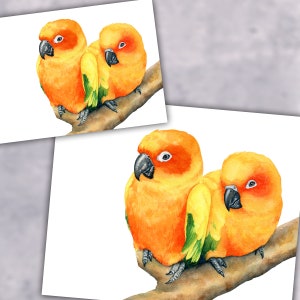 Sun Conures, Watercolor Sun Conures, Conure, Parrot, Parrots, Yellow Parrots, Love Birds, Watercolor, Watercolor Animal